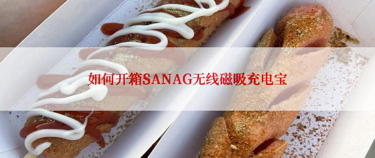 如何开箱SANAG无线磁吸充电宝