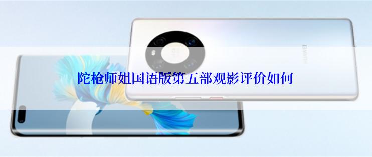 陀枪师姐国语版第五部观影评价如何