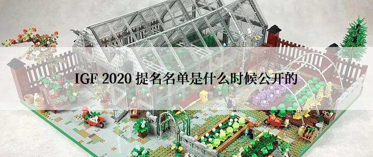 IGF 2020 提名名单是什么时候公开的