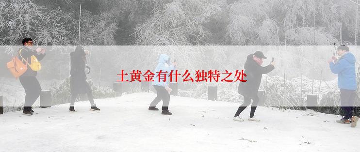  土黄金有什么独特之处