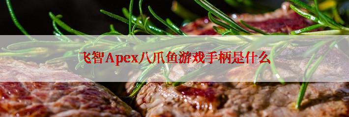 飞智Apex八爪鱼游戏手柄是什么