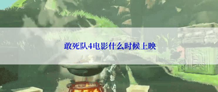  敢死队4电影什么时候上映