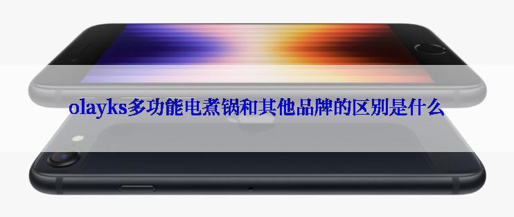 olayks多功能电煮锅和其他品牌的区别是什么