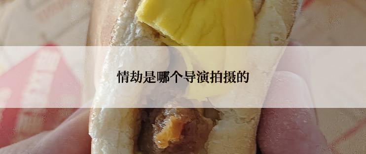 情劫是哪个导演拍摄的