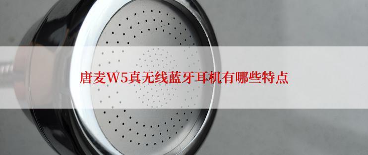 唐麦W5真无线蓝牙耳机有哪些特点