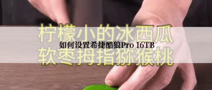  如何设置希捷酷狼Pro 16TB