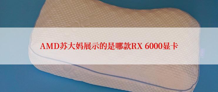 AMD苏大妈展示的是哪款RX 6000显卡