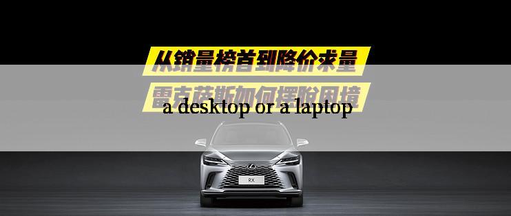  a desktop or a laptop