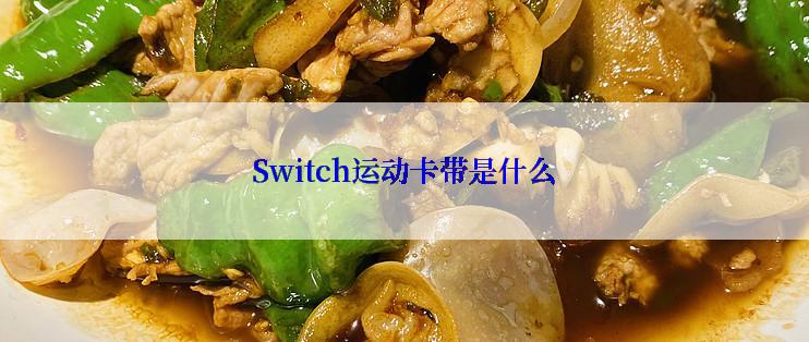 Switch运动卡带是什么