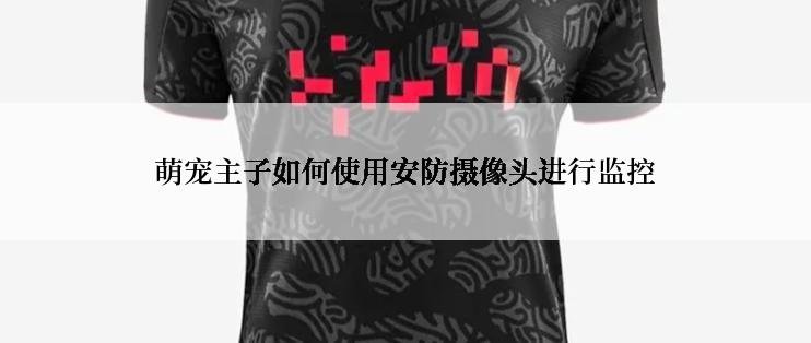 萌宠主子如何使用安防摄像头进行监控