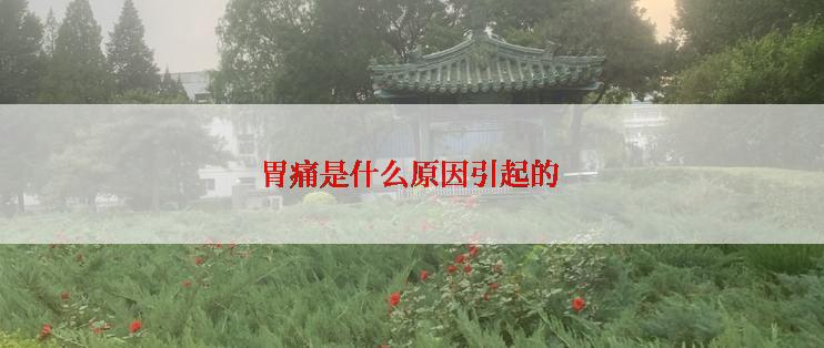 胃痛是什么原因引起的