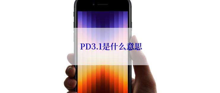  PD3.1是什么意思