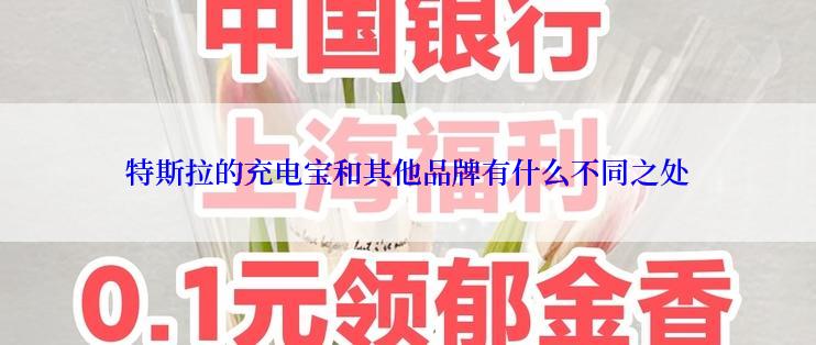 特斯拉的充电宝和其他品牌有什么不同之处