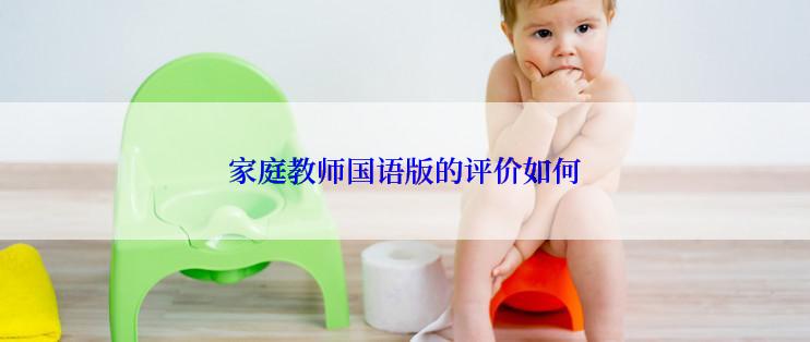 家庭教师国语版的评价如何