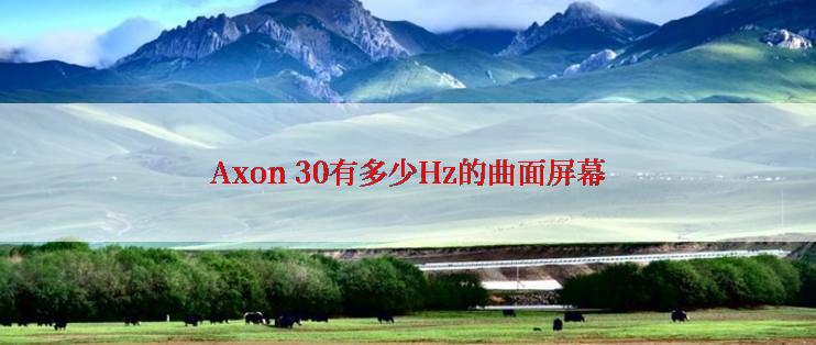 Axon 30有多少Hz的曲面屏幕