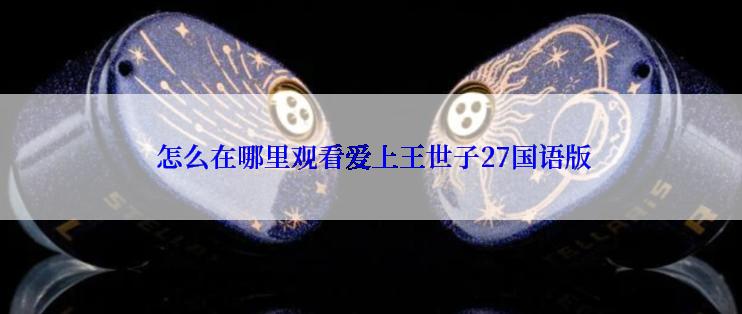  怎么在哪里观看爱上王世子27国语版