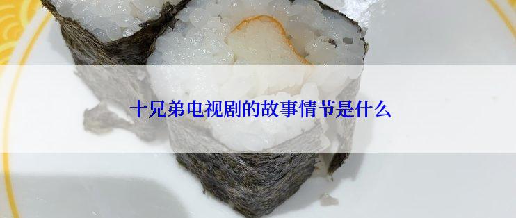  十兄弟电视剧的故事情节是什么