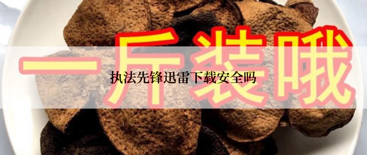 执法先锋迅雷下载安全吗