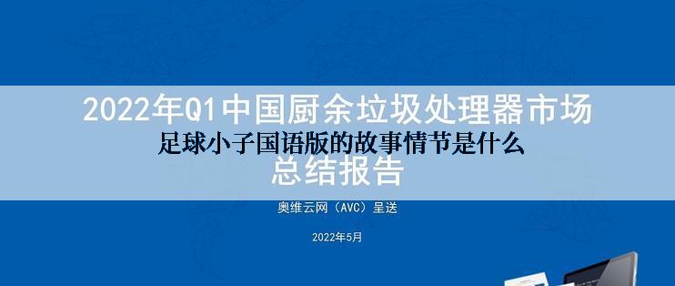  足球小子国语版的故事情节是什么