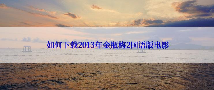  如何下载2013年金瓶梅2国语版电影