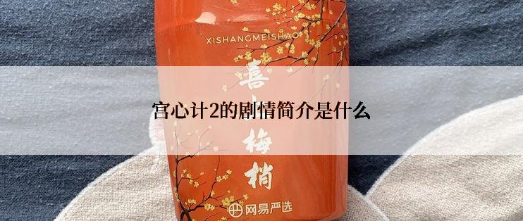 宫心计2的剧情简介是什么