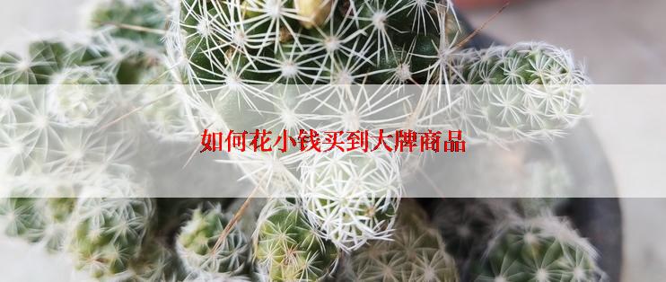 如何花小钱买到大牌商品