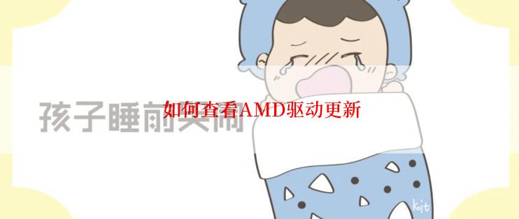  如何查看AMD驱动更新