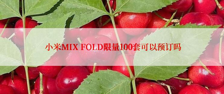  小米MIX FOLD限量100套可以预订吗