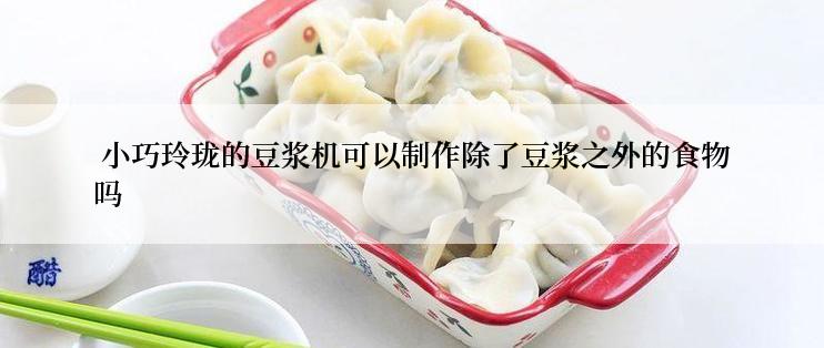  小巧玲珑的豆浆机可以制作除了豆浆之外的食物吗