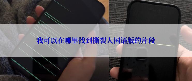 我可以在哪里找到撕裂人国语版的片段