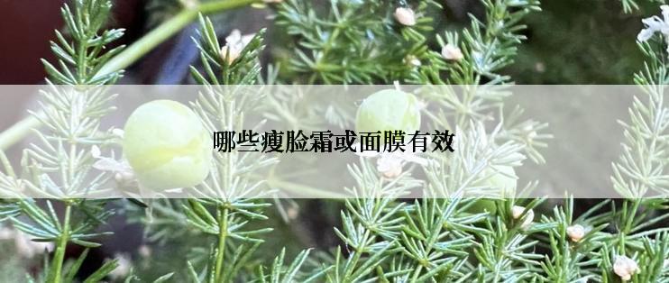 哪些瘦脸霜或面膜有效