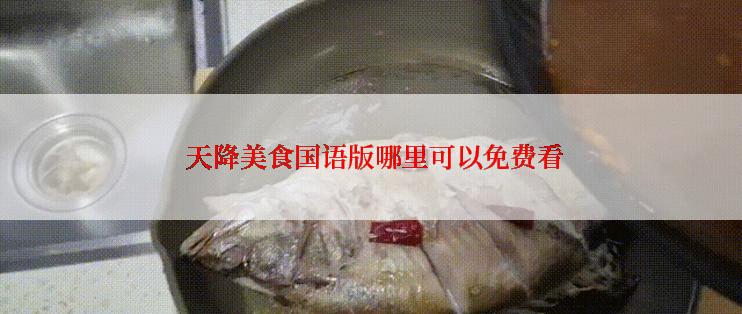  天降美食国语版哪里可以免费看