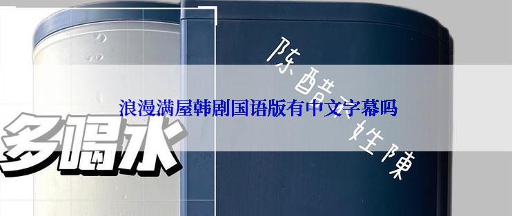  浪漫满屋韩剧国语版有中文字幕吗