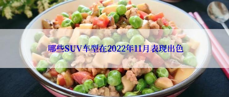  哪些SUV车型在2022年11月表现出色