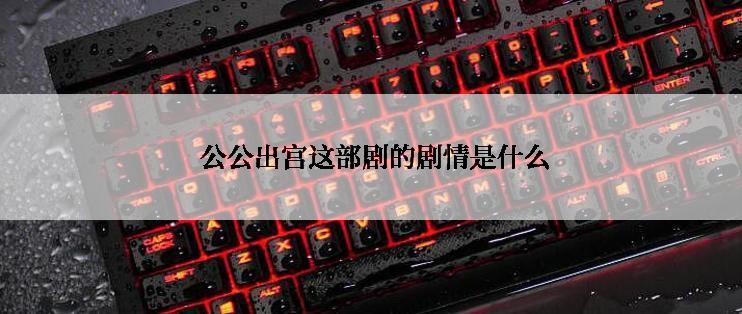  公公出宫这部剧的剧情是什么