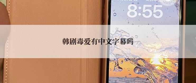 韩剧毒爱有中文字幕吗