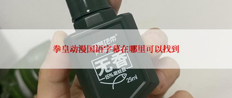 拳皇动漫国语字幕在哪里可以找到