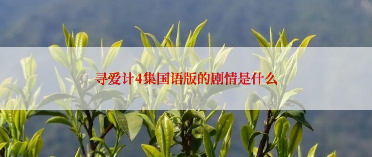 寻爱计4集国语版的剧情是什么