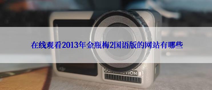  在线观看2013年金瓶梅2国语版的网站有哪些