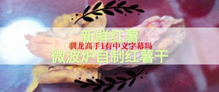  驯龙高手1有中文字幕吗