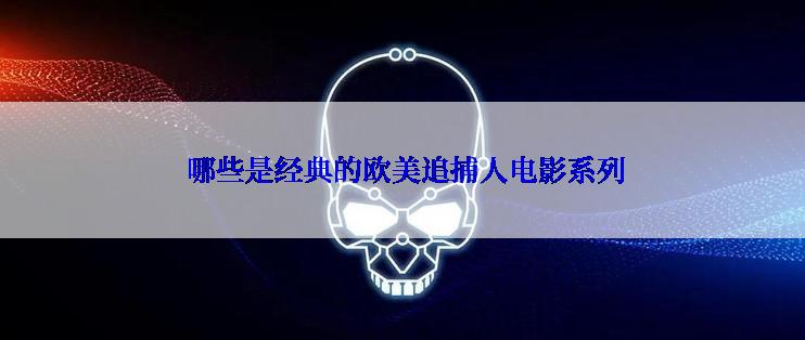  哪些是经典的欧美追捕人电影系列