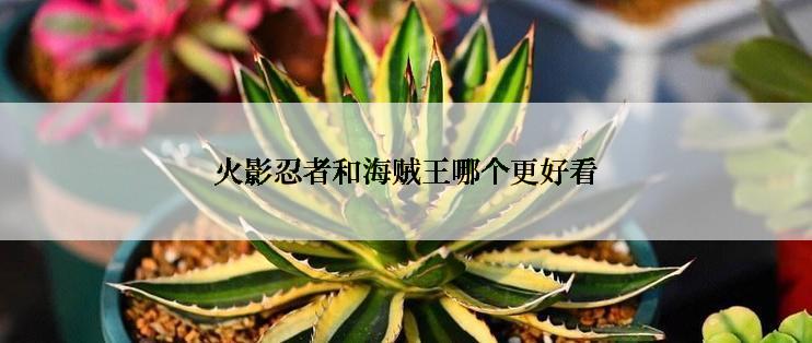 火影忍者和海贼王哪个更好看