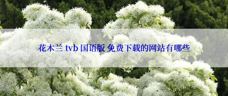 花木兰 tvb 国语版 免费下载的网站有哪些