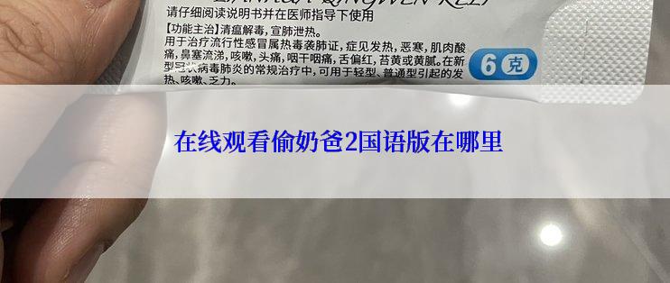  在线观看偷奶爸2国语版在哪里