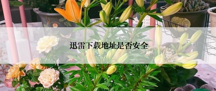  迅雷下载地址是否安全