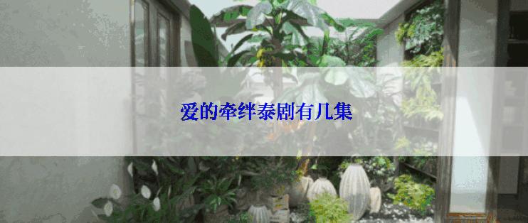  爱的牵绊泰剧有几集