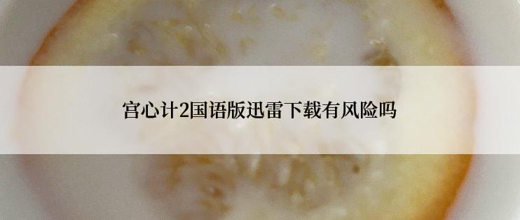 宫心计2国语版迅雷下载有风险吗