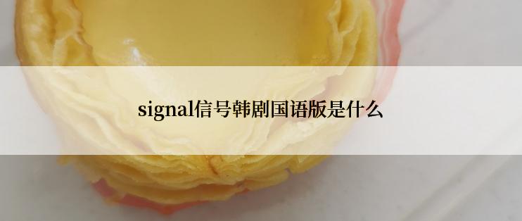 signal信号韩剧国语版是什么