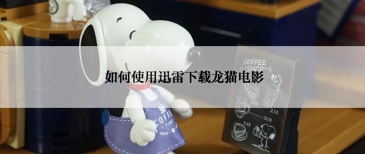  如何使用迅雷下载龙猫电影