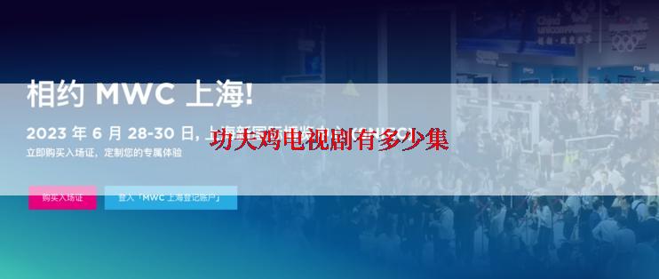 功夫鸡电视剧有多少集